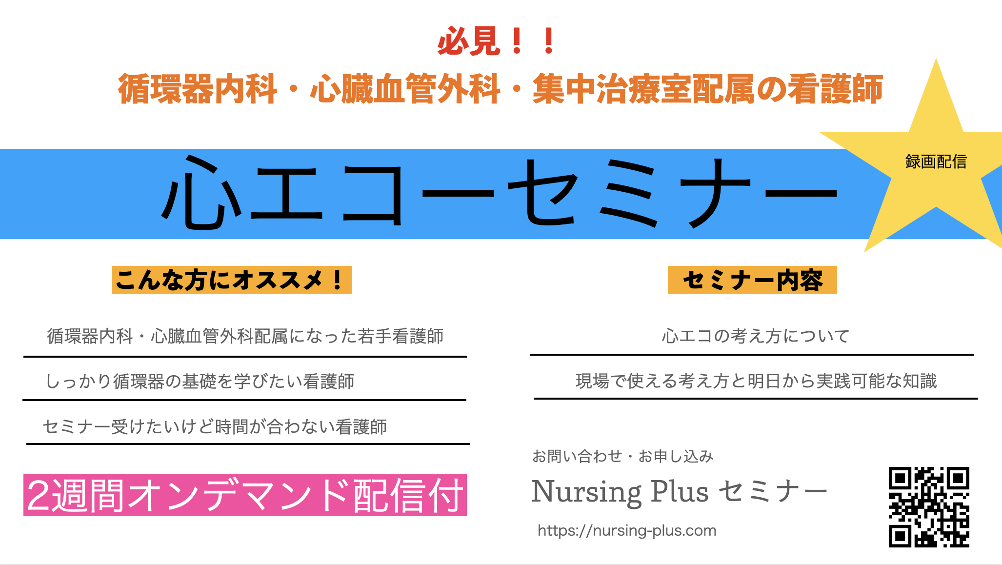 『心エコー』看護師も知ってほしい心エコーレポートの読み方！（上級編）