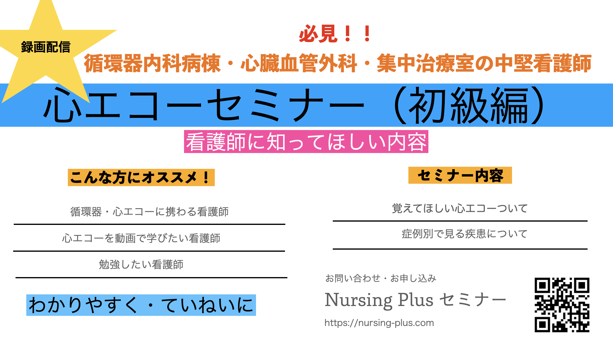 【心エコー】看護師が知ってほしい内容を解説！(初級編)