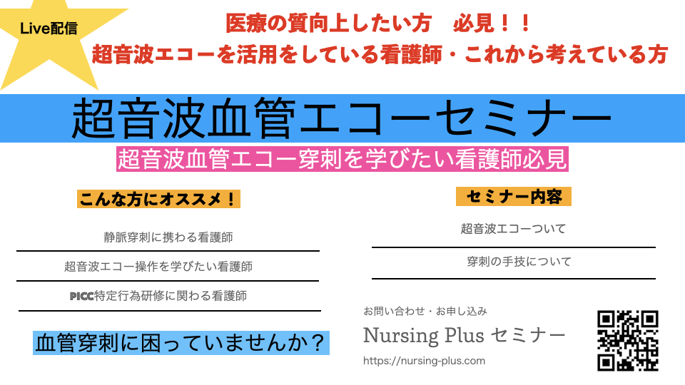 ★Live配信★看護師のための超音波エコー使用下の血管穿刺についてわかりやすく丁寧に！