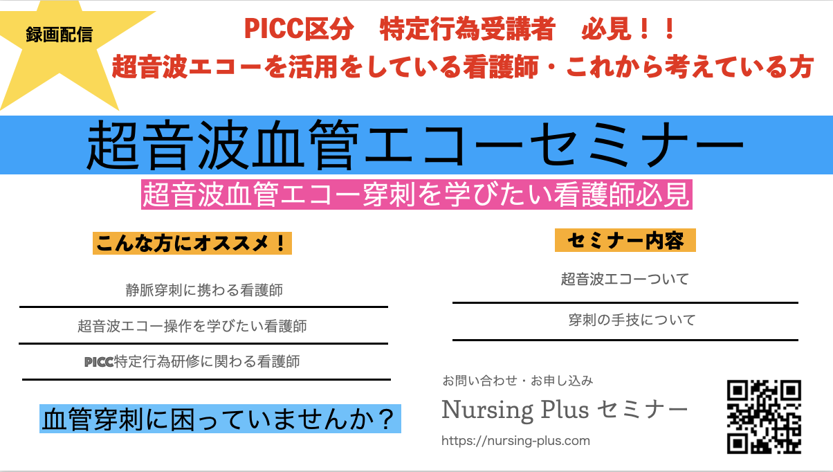 血管エコーを味方に！エコー下穿刺で穿刺が変わる第一歩 　〜PICC特定行為区分　受講者必見〜