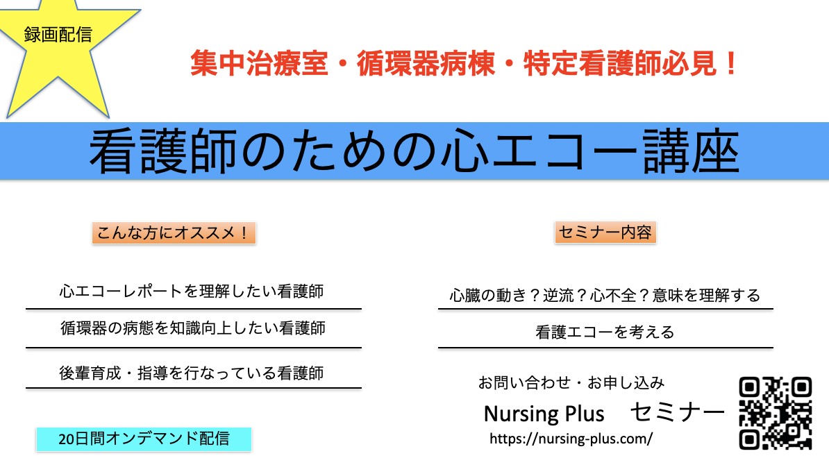 看護師のための“臨床で使える”心エコー講座　